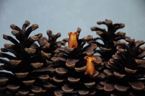 Фэнтезийные существа Аллы Брокуэлл из полимерной глины (20 фото)